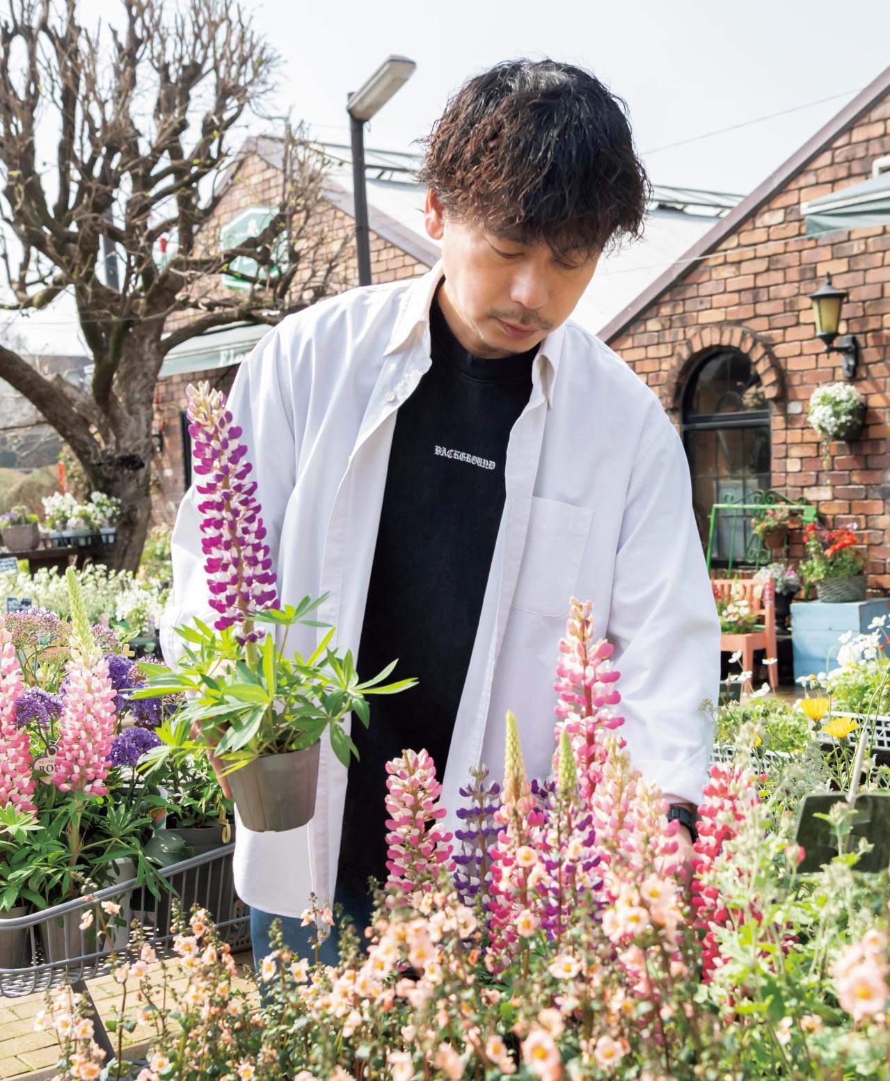 小さなスペースへの【芝張りのコツ】花壇の前に芝を張るだけで見栄えが数段アップ！（画像2）