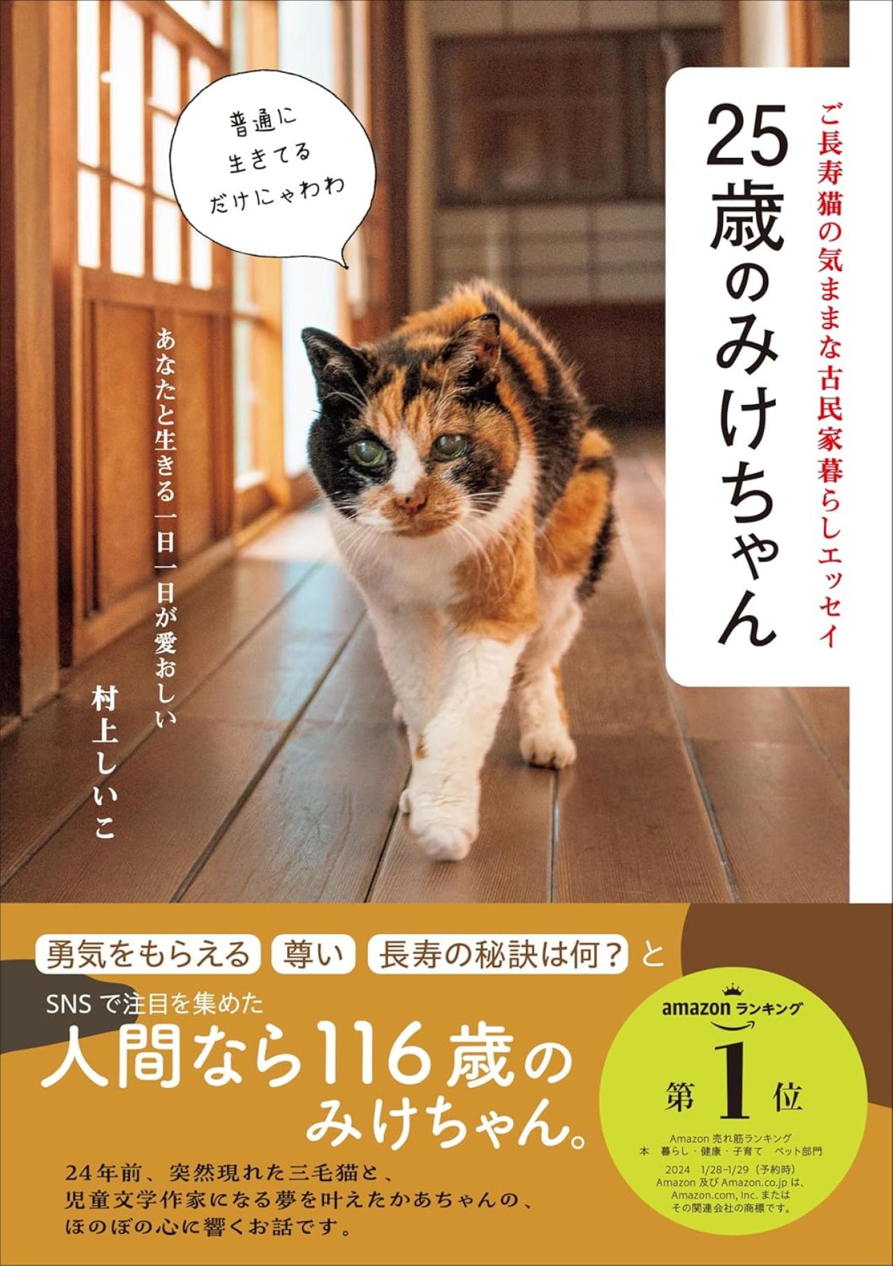25歳のみけちゃん