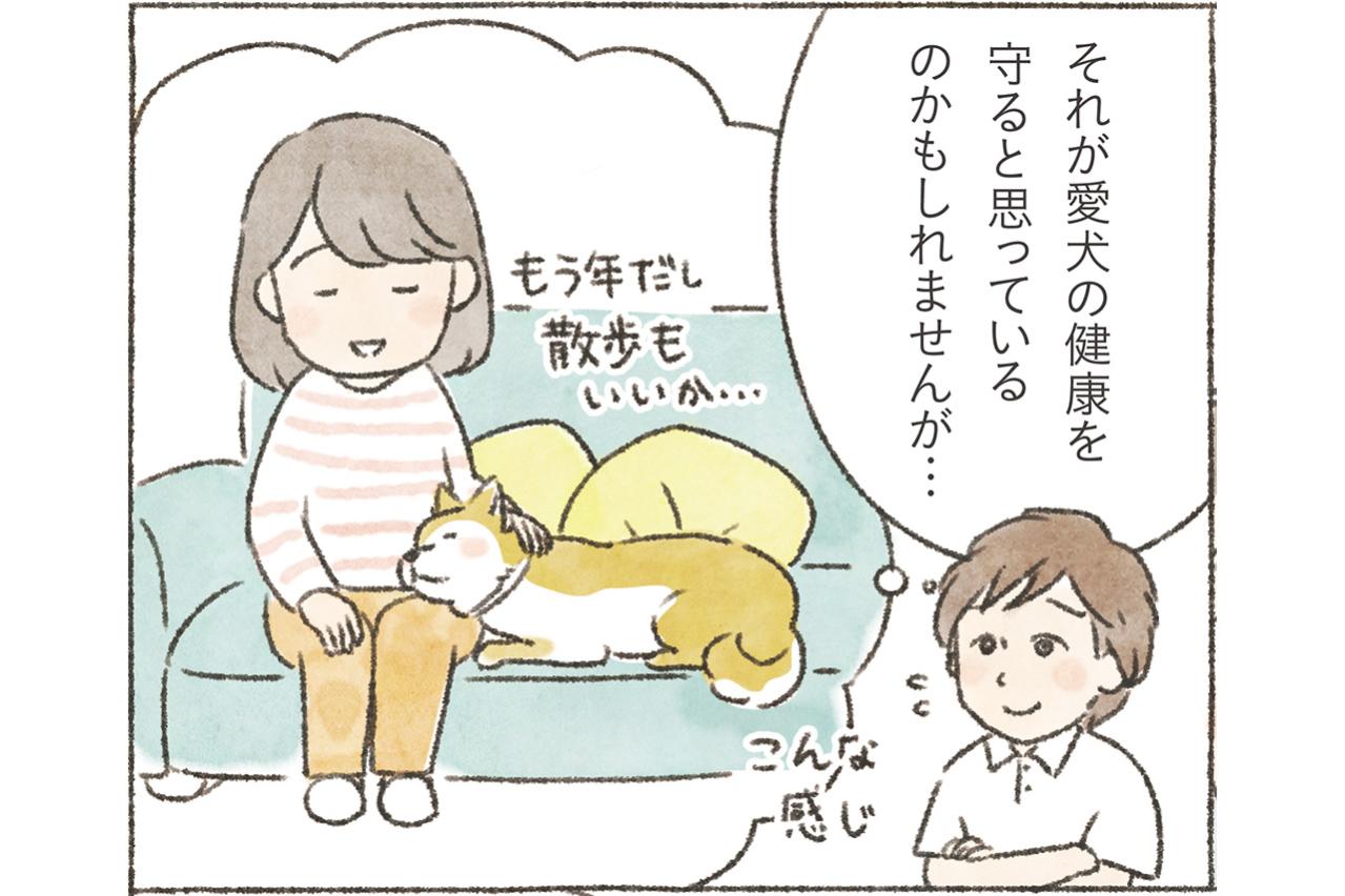 愛犬のためにしていることが逆効果！？5歳から知っておきたい老化のサインと「過保護にしない」コツ