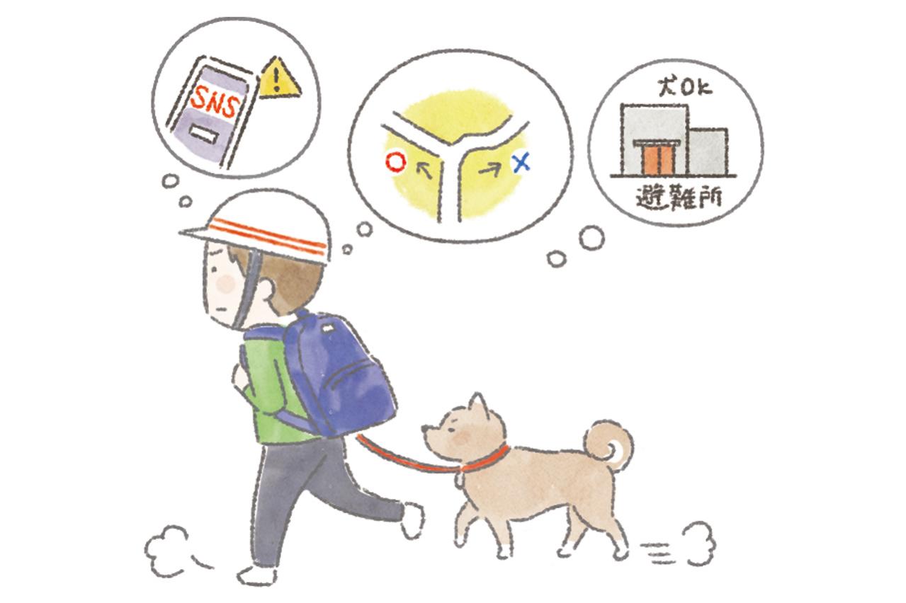 地震・台風に備える「愛犬用の避難グッズ」12選＋同行避難で困らない基本のしつけ
