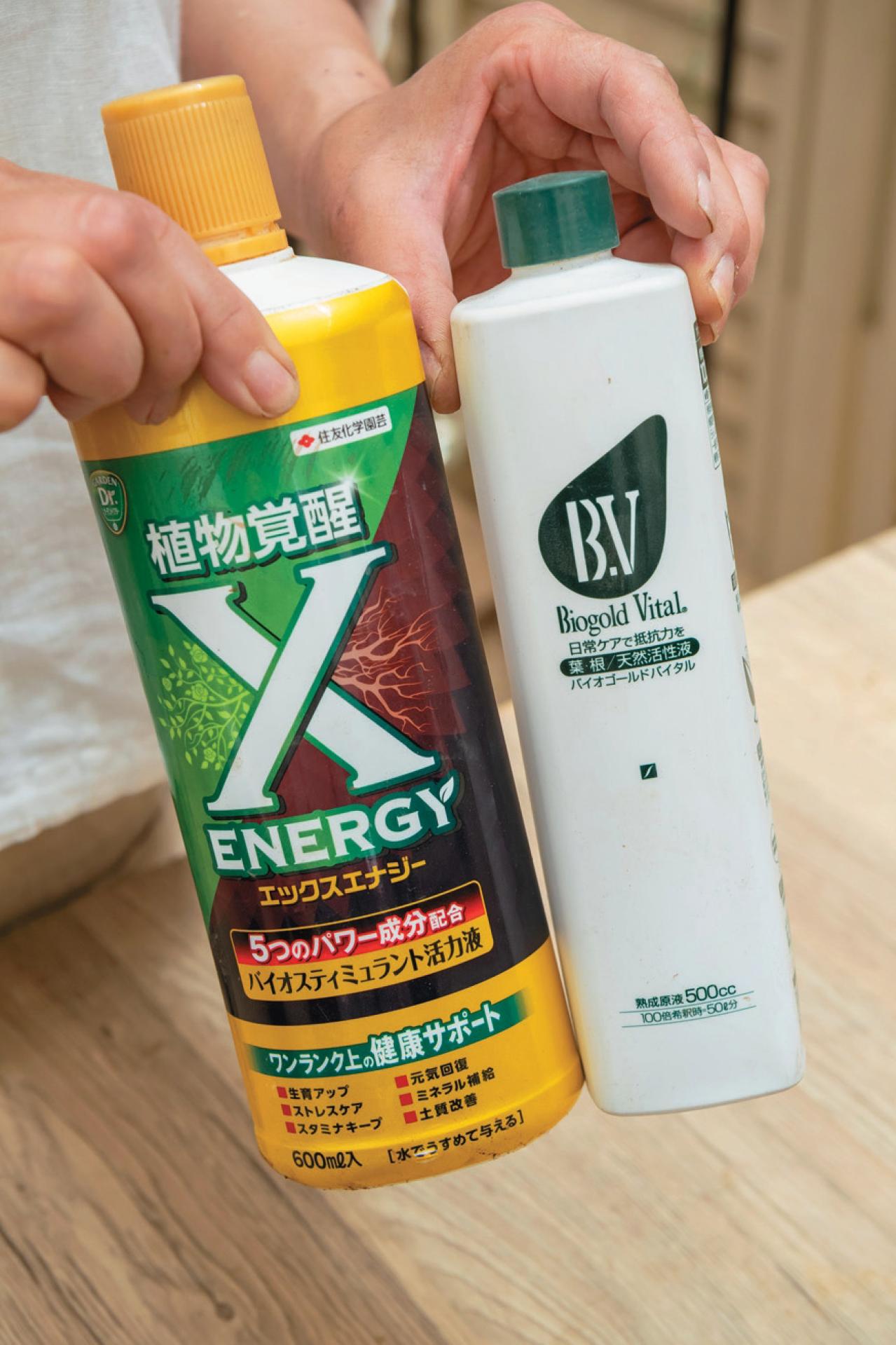少ないポットで華やかに！【ペンタス×ゴシキトウガラシ】の夏の寄せ植えレシピと長持ちさせる工夫（画像22）