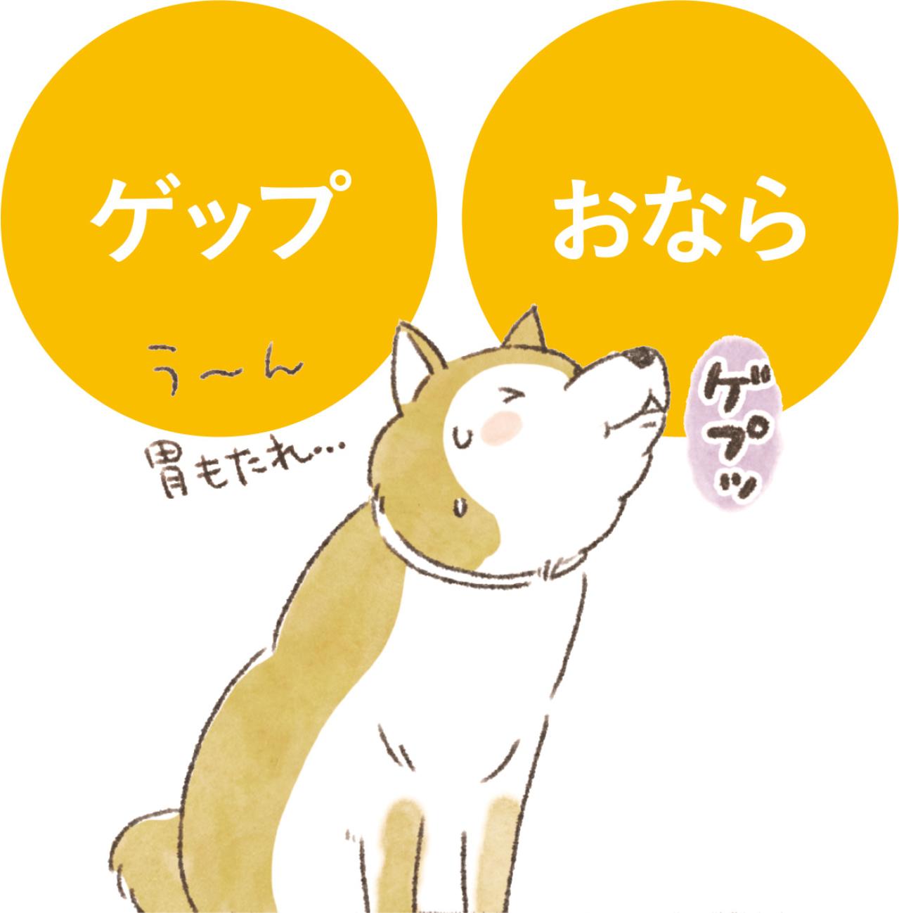 愛犬が5歳を過ぎたら知っておきたい、フードの替えどき：7歳でも今のままでいいケースとは？（画像2）