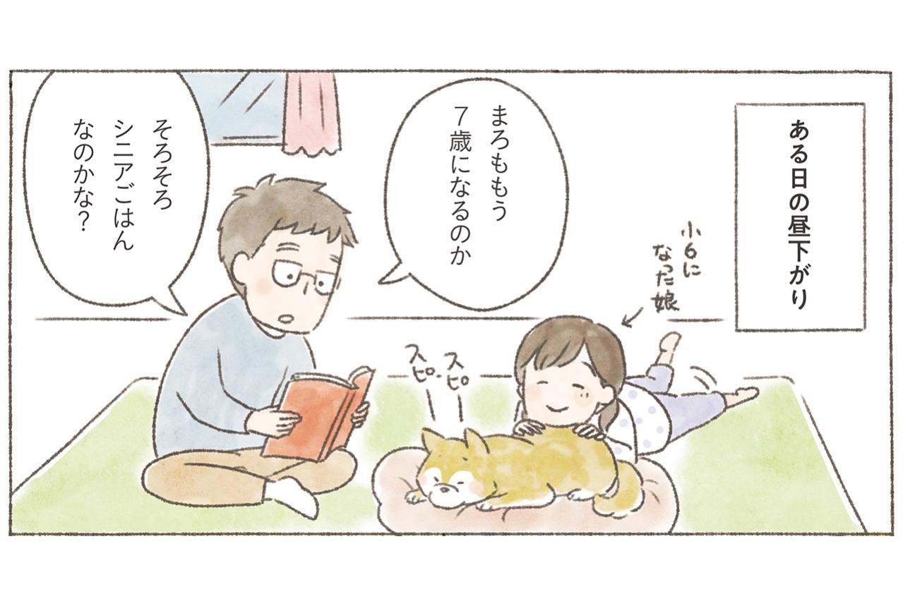 愛犬が5歳を過ぎたら知っておきたい、フードの替えどき：7歳でも今のままでいいケースとは？