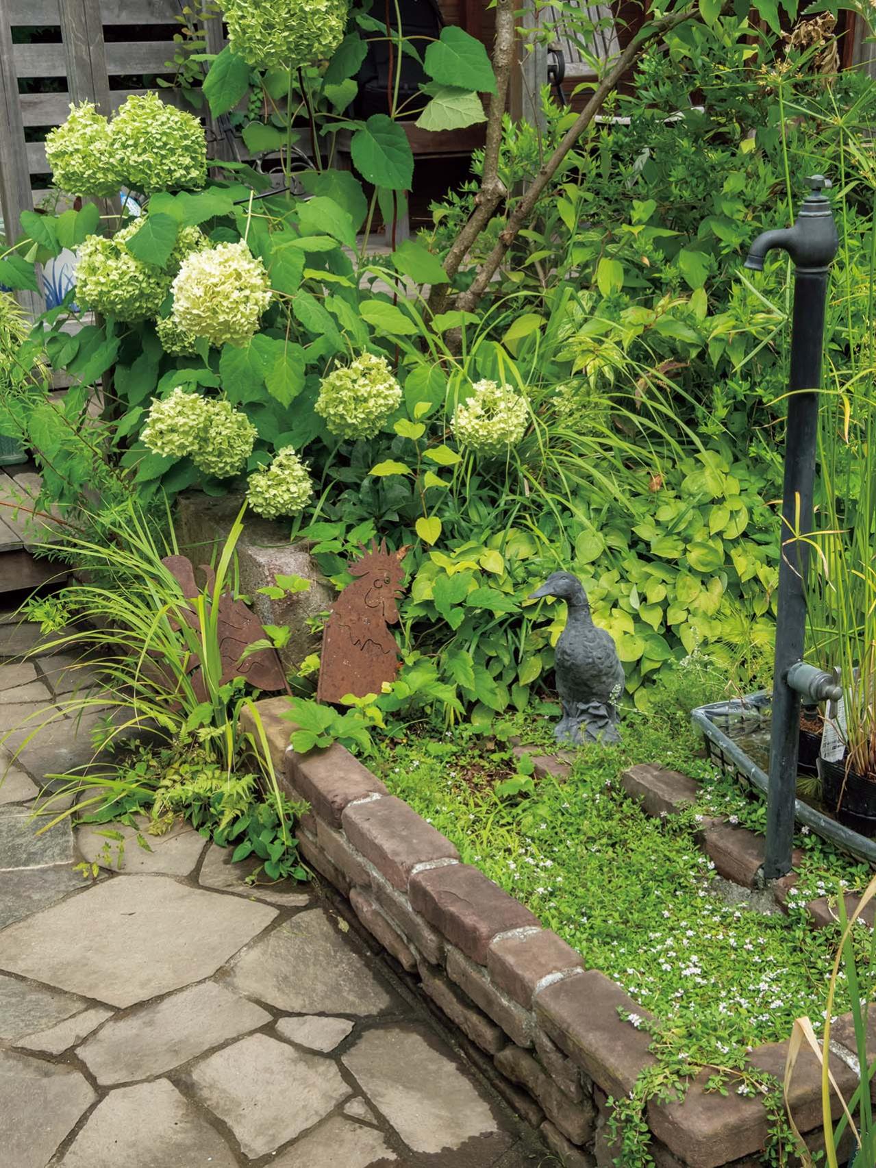 夏の暑さで植物を弱らせないために今できること3つ｜地温を下げるグラウンドカバー・二重鉢・日陰づくり（画像6）