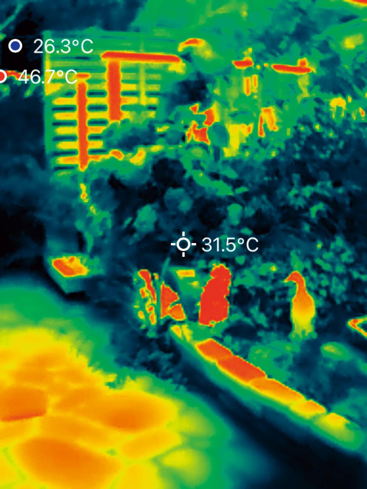 夏の暑さで植物を弱らせないために今できること3つ｜地温を下げるグラウンドカバー・二重鉢・日陰づくり（画像7）