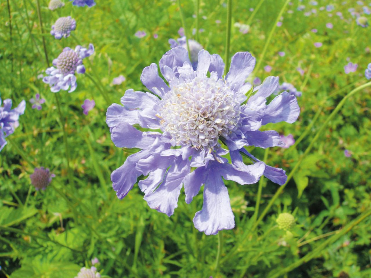 夏の避暑にぴったり！“涼にひたる”【美術館3選】青森県立美術館・足立美術館・美ヶ原高原美術館（画像11）