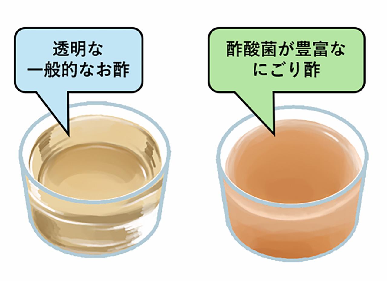 夫婦で取り組む「温活」＆「腸活」が健康長寿の鍵！ 加藤綾菜の【加藤家・笑顔の秘訣#6】（画像4）