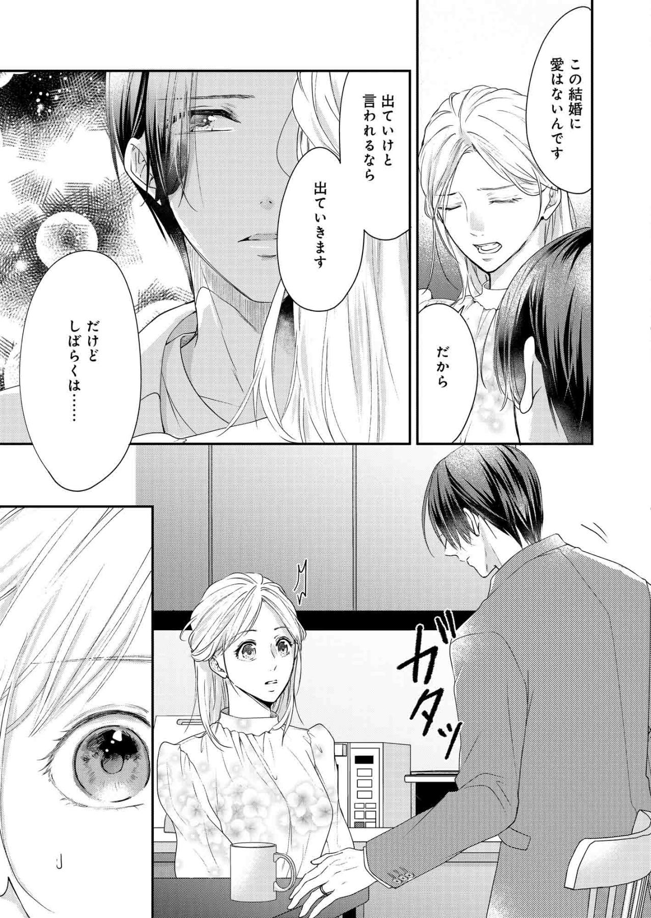 「実は私たち、契約結婚をしていました」―事故のあった日は、契約終了日でした【秘め婚 離婚前夜、今から愛を育てます #7】（画像6）
