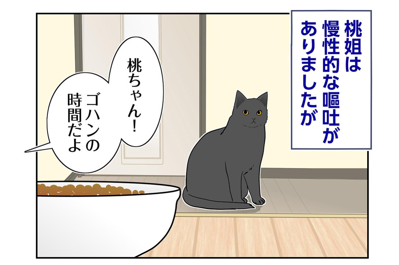 【マンガ・老猫日誌＃105】秋が深まるにつれゴハンを食べなくなった桃姐〜思い出の老猫日誌・桃姐と小論