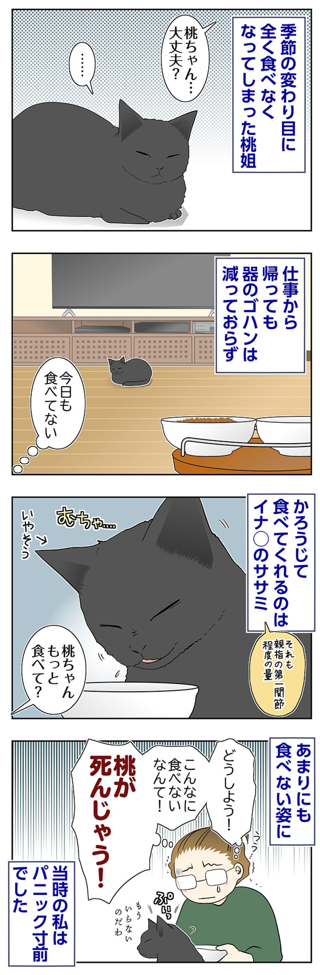 【マンガ・老猫日誌＃106】器のゴハンが全く減らなかった日々〜思い出の老猫日誌・桃姐と小論（画像2）