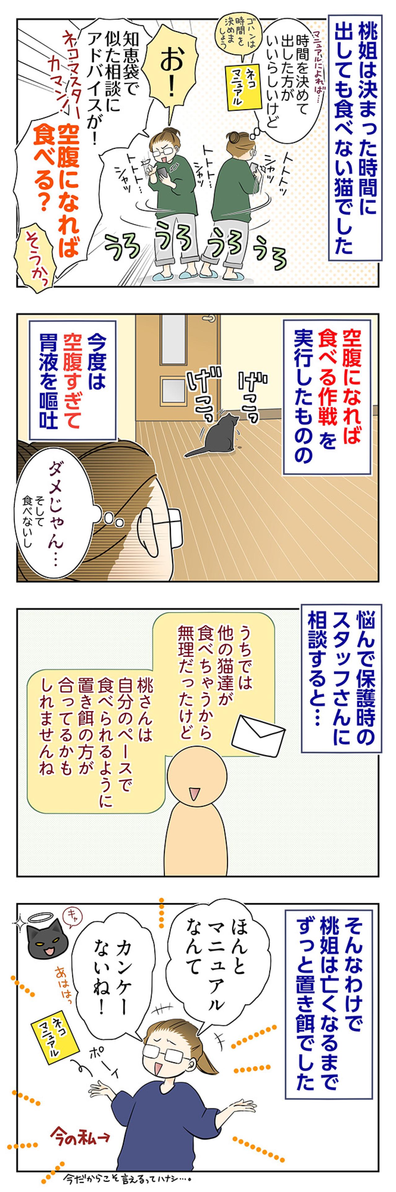 【マンガ・老猫日誌＃107】空腹になれば食べる？試行錯誤の食事作戦〜思い出の老猫日誌・桃姐と小論（画像2）