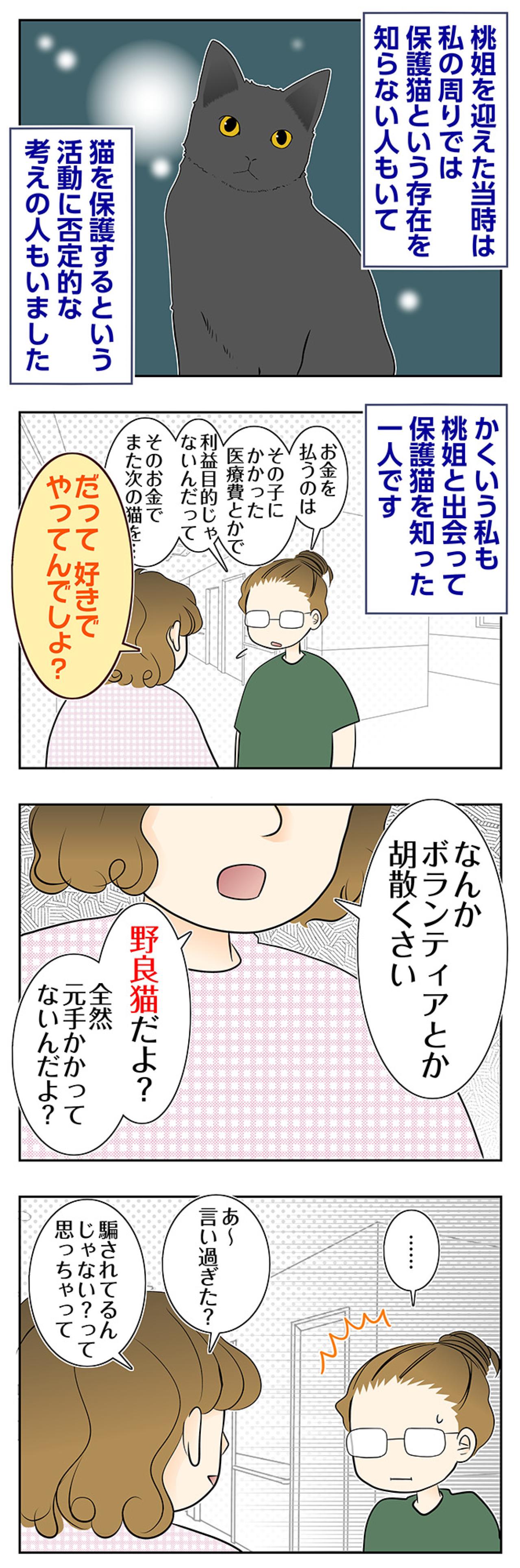 【マンガ・老猫日誌＃100】保護猫活動に否定的だった同僚とのやりとり〜思い出の老猫日誌・桃姐と小論（画像2）