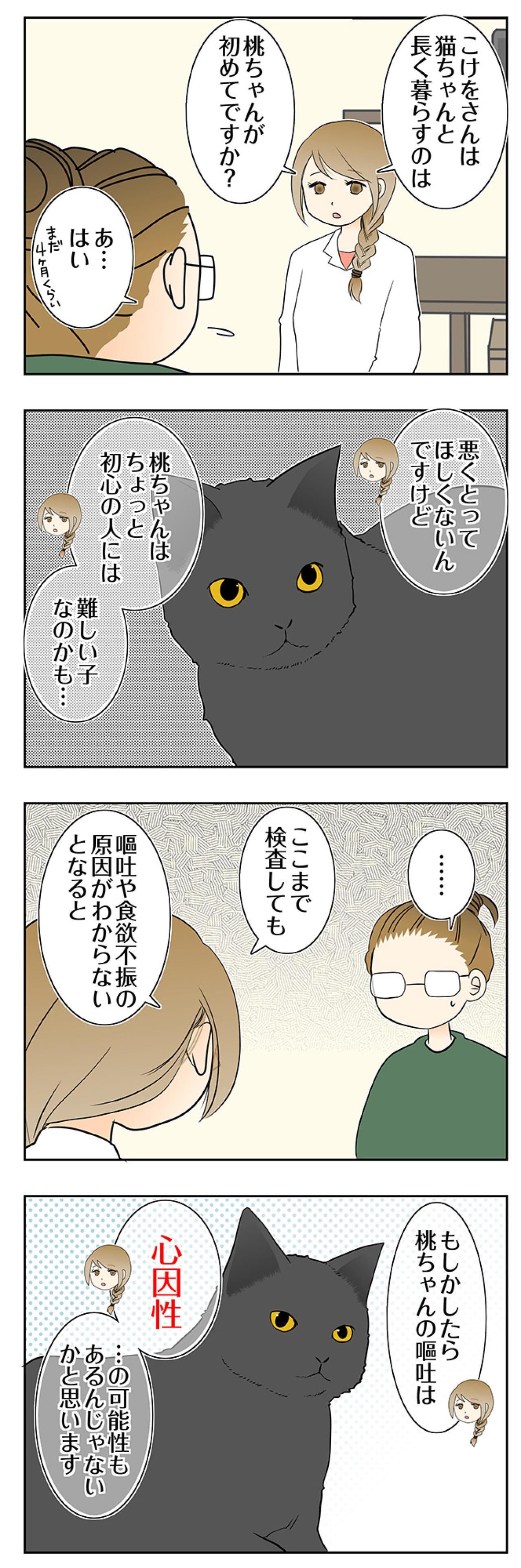 【マンガ・老猫日誌＃112】「初心者には難しい子」と言われた理由〜思い出の老猫日誌・桃姐と小論（画像2）
