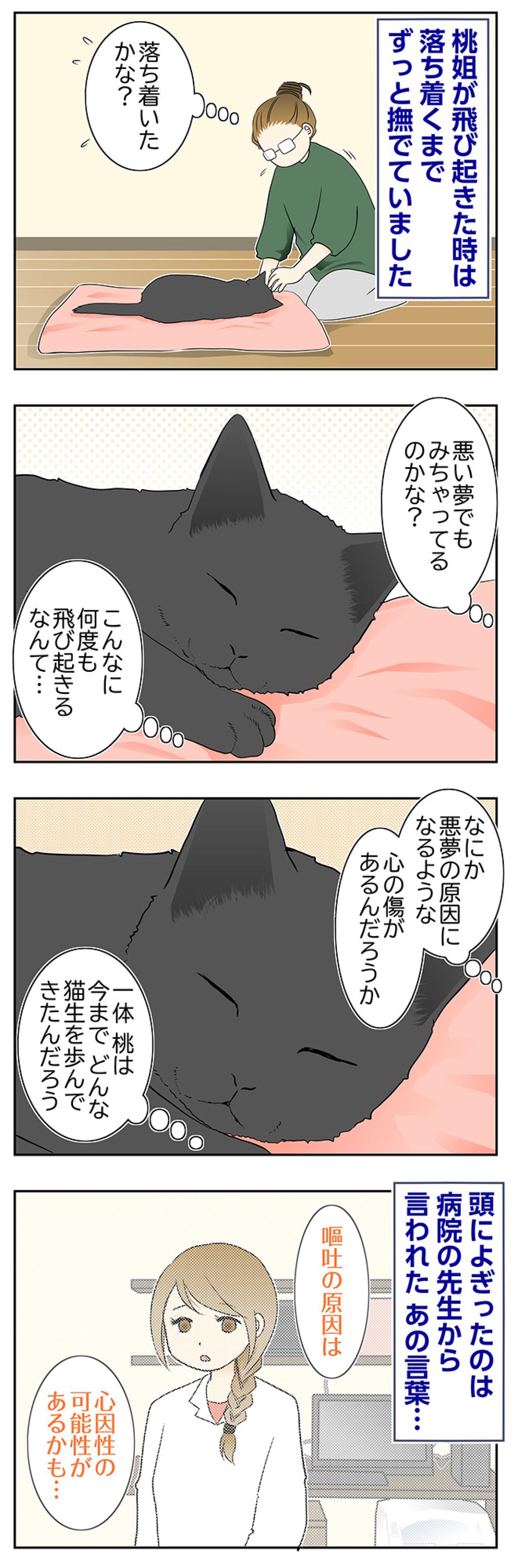 【マンガ・老猫日誌＃118】悪い夢でもみちゃってるのかな…桃姐を思って〜思い出の老猫日誌・桃姐と小論（画像2）