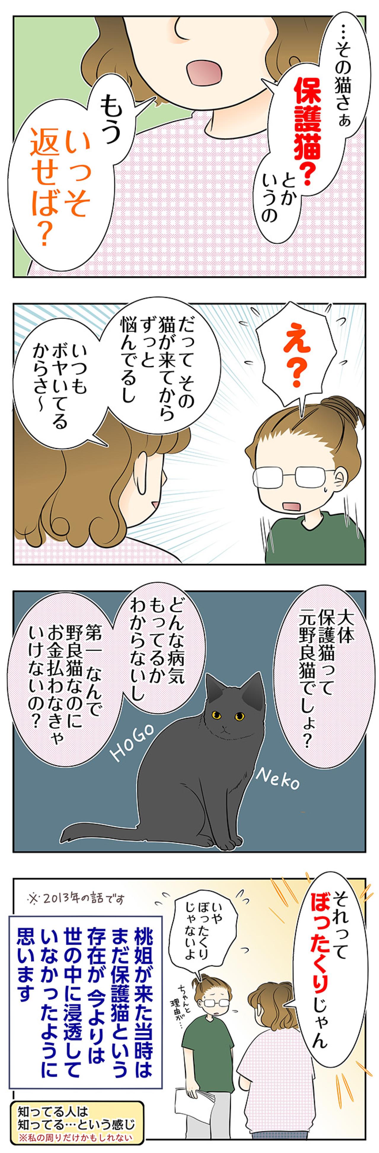 【マンガ・老猫日誌＃99】「いっそ返せば？」同僚に言われた忘れられない一言〜思い出の老猫日誌・桃姐と小論（画像2）