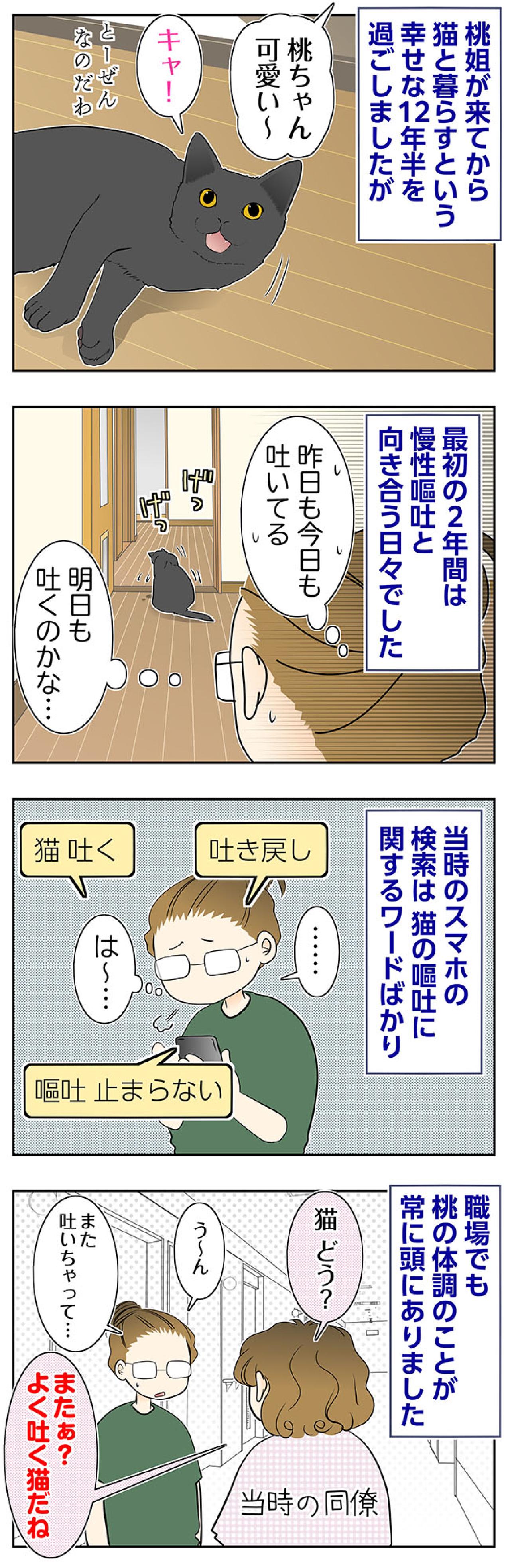 【マンガ・老猫日誌＃98】慢性嘔吐と向き合った桃姐との2年間〜思い出の老猫日誌・桃姐と小論（画像2）