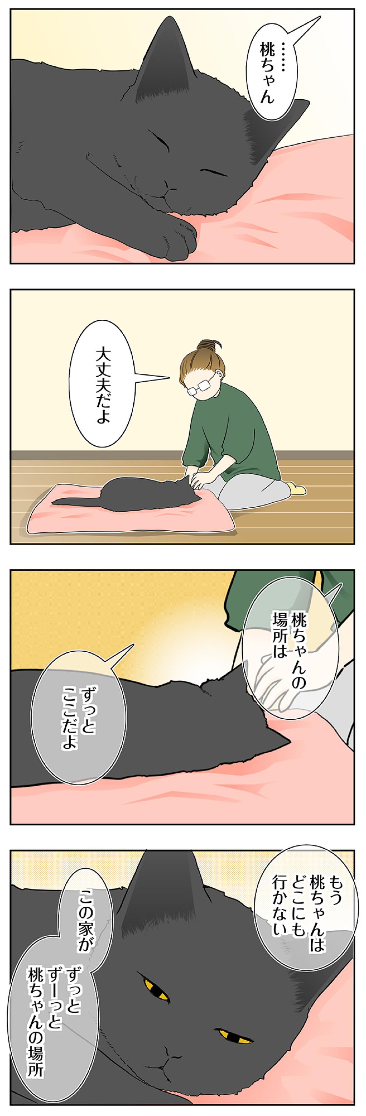 【マンガ・老猫日誌＃120】もう桃はどこにも行かせないと誓った日〜思い出の老猫日誌・桃姐と小論（画像2）