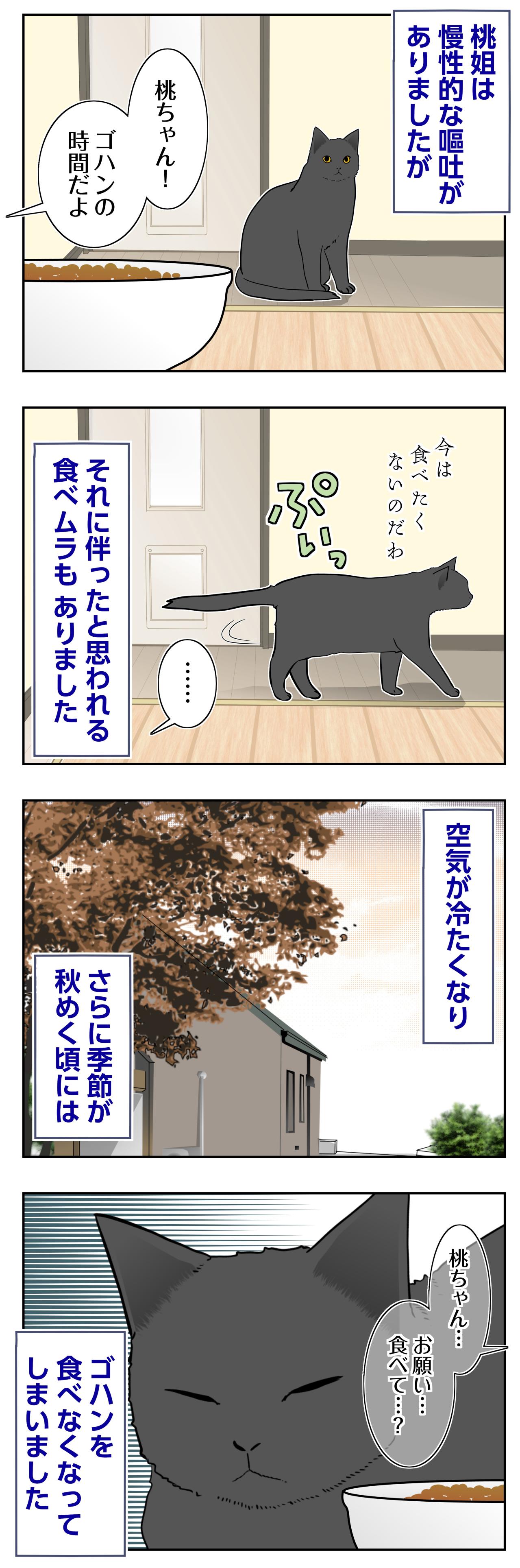 【マンガ・老猫日誌＃105】秋が深まるにつれゴハンを食べなくなった桃姐〜思い出の老猫日誌・桃姐と小論（画像2）