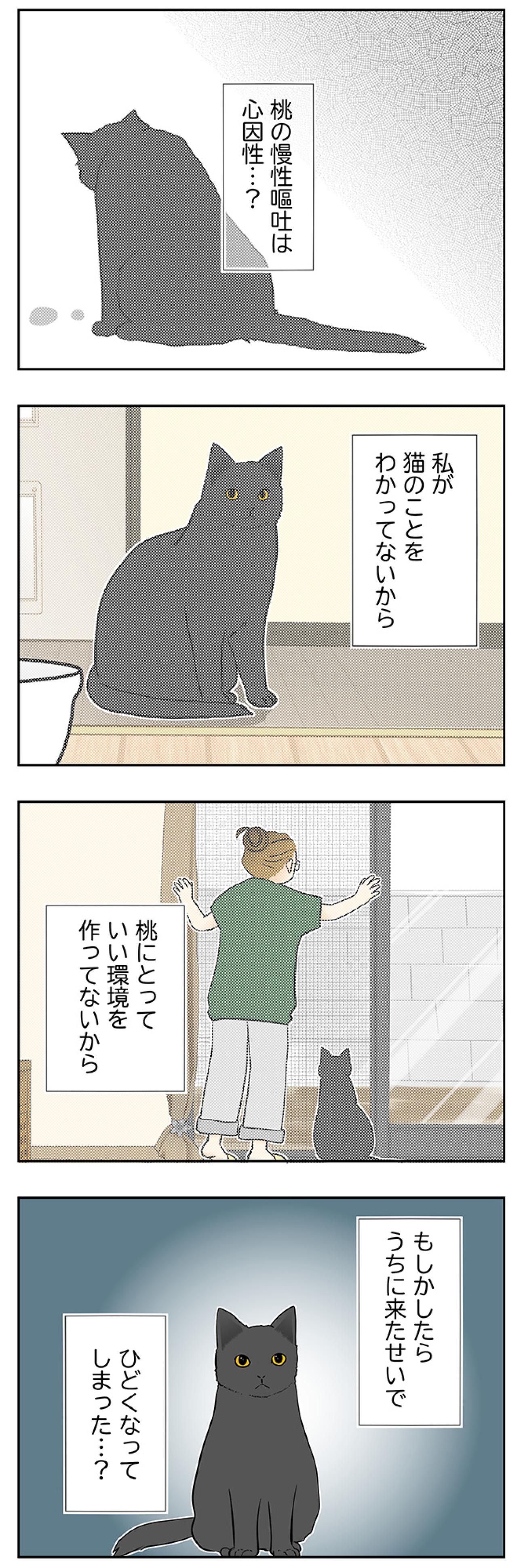 【マンガ・老猫日誌＃113】私が猫のことをわかってないから…と悩んだ日〜思い出の老猫日誌・桃姐と小論（画像2）