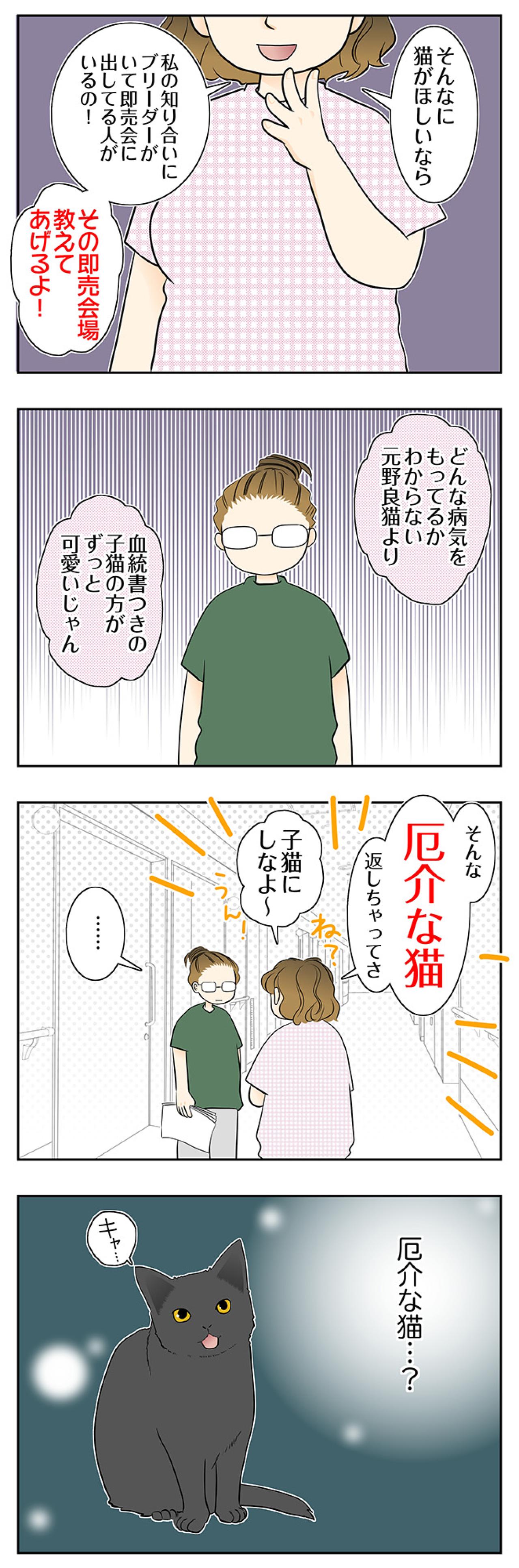 【マンガ・老猫日誌＃101】「厄介な猫」その言葉に固まった日〜思い出の老猫日誌・桃姐と小論（画像2）