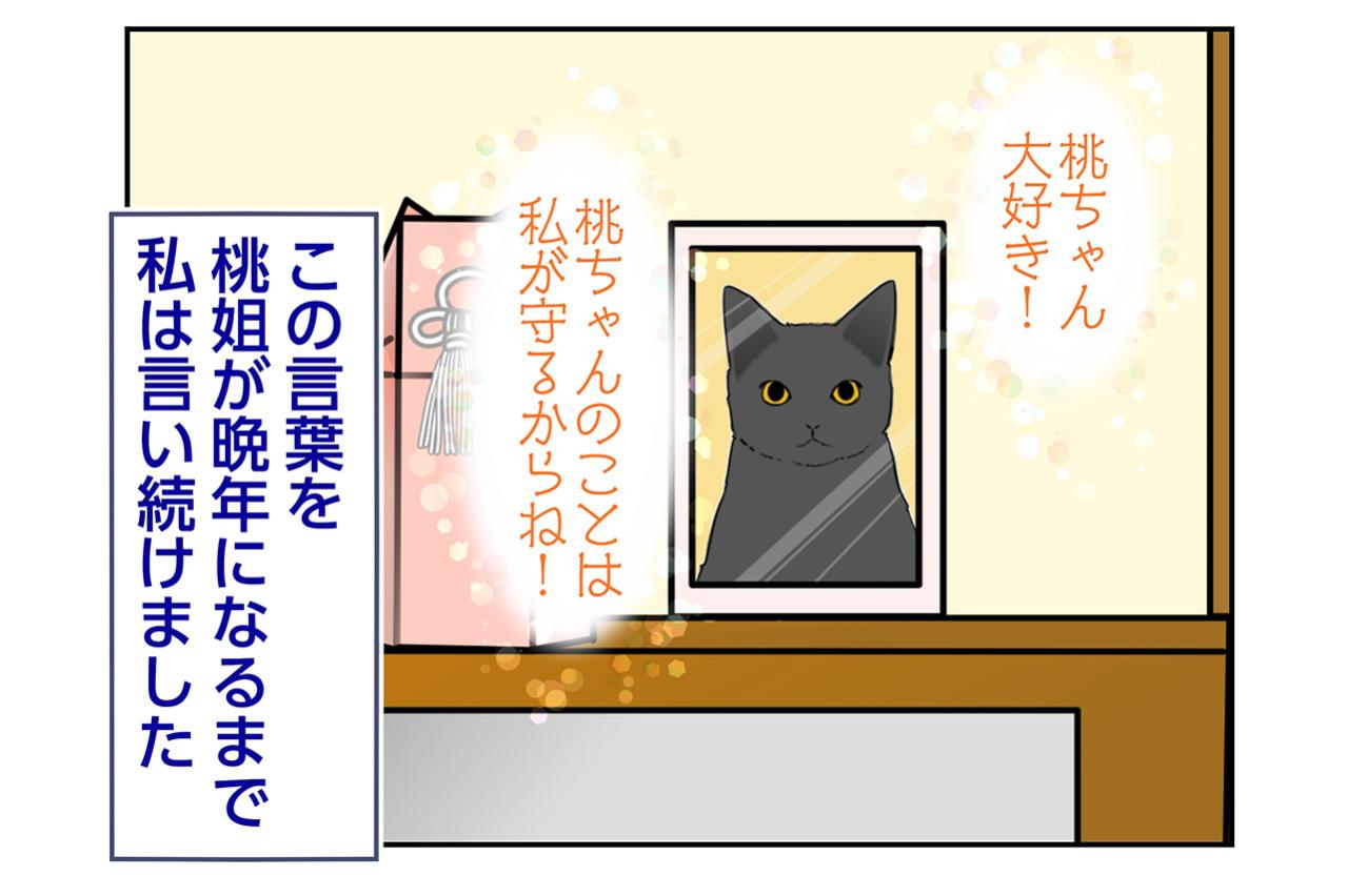 【マンガ・老猫日誌＃122】晩年まで言い続けた「守るからね」〜思い出の老猫日誌・桃姐と小論