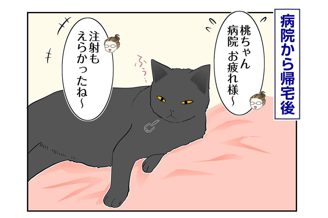 【マンガ・老猫日誌＃114】ヘソ天で寝る桃姐、安心のサイン〜思い出の老猫日誌・桃姐と小論