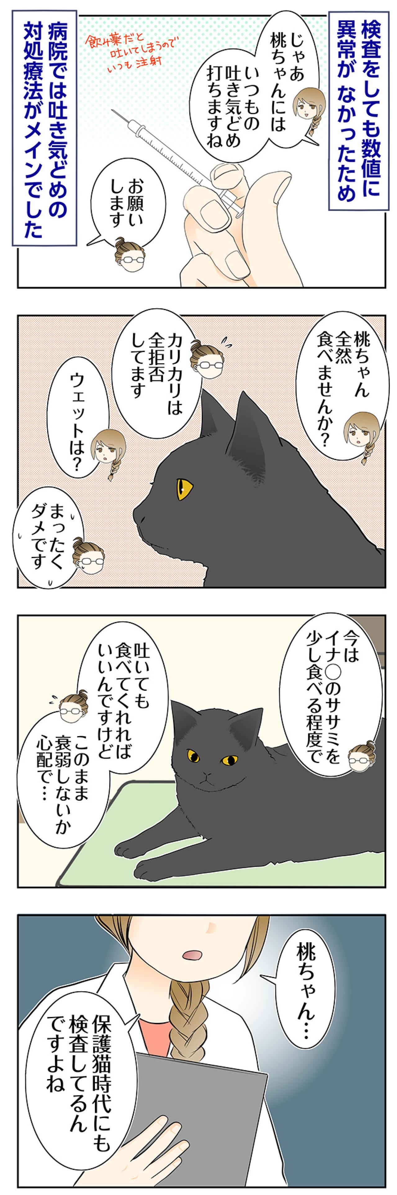 【マンガ・老猫日誌＃109】検査しても異常なし、それでも吐き続ける桃姐〜思い出の老猫日誌・桃姐と小論（画像2）