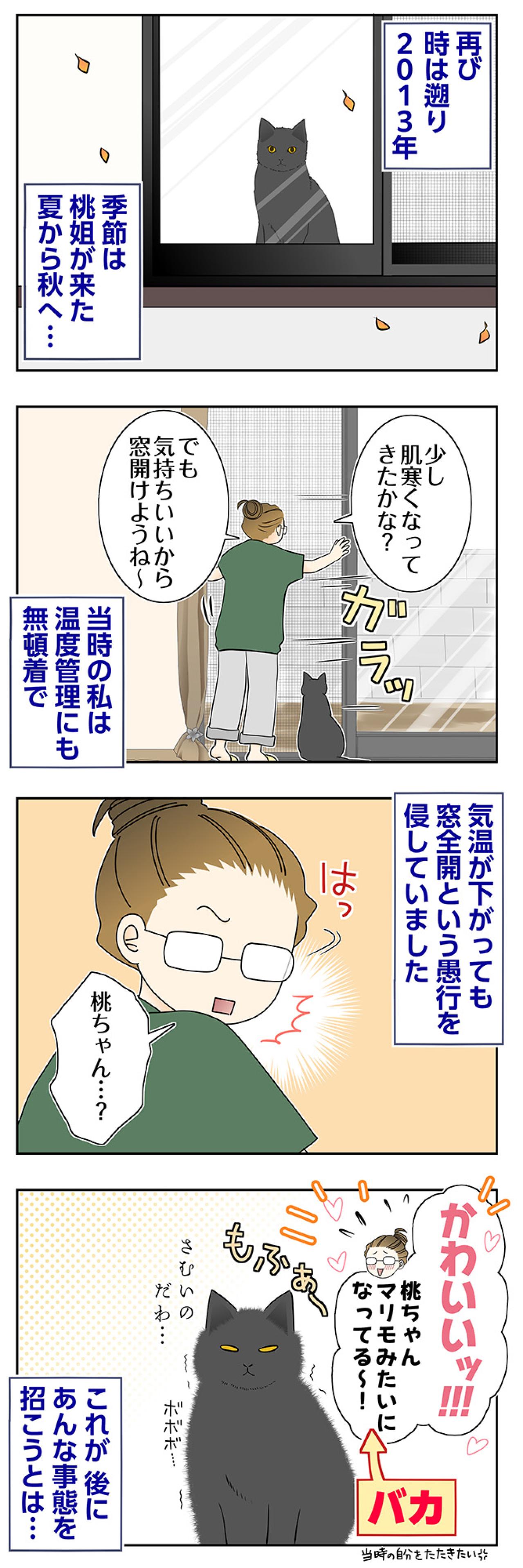 【マンガ・老猫日誌＃104】窓全開が招いた、まさかの事態〜思い出の老猫日誌・桃姐と小論（画像2）