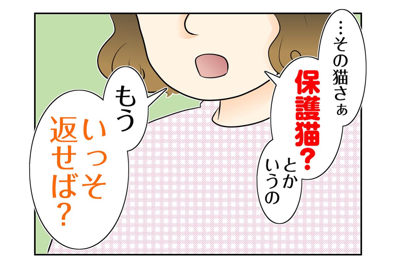 【マンガ・老猫日誌＃99】「いっそ返せば？」同僚に言われた忘れられない一言〜思い出の老猫日誌・桃姐と小論