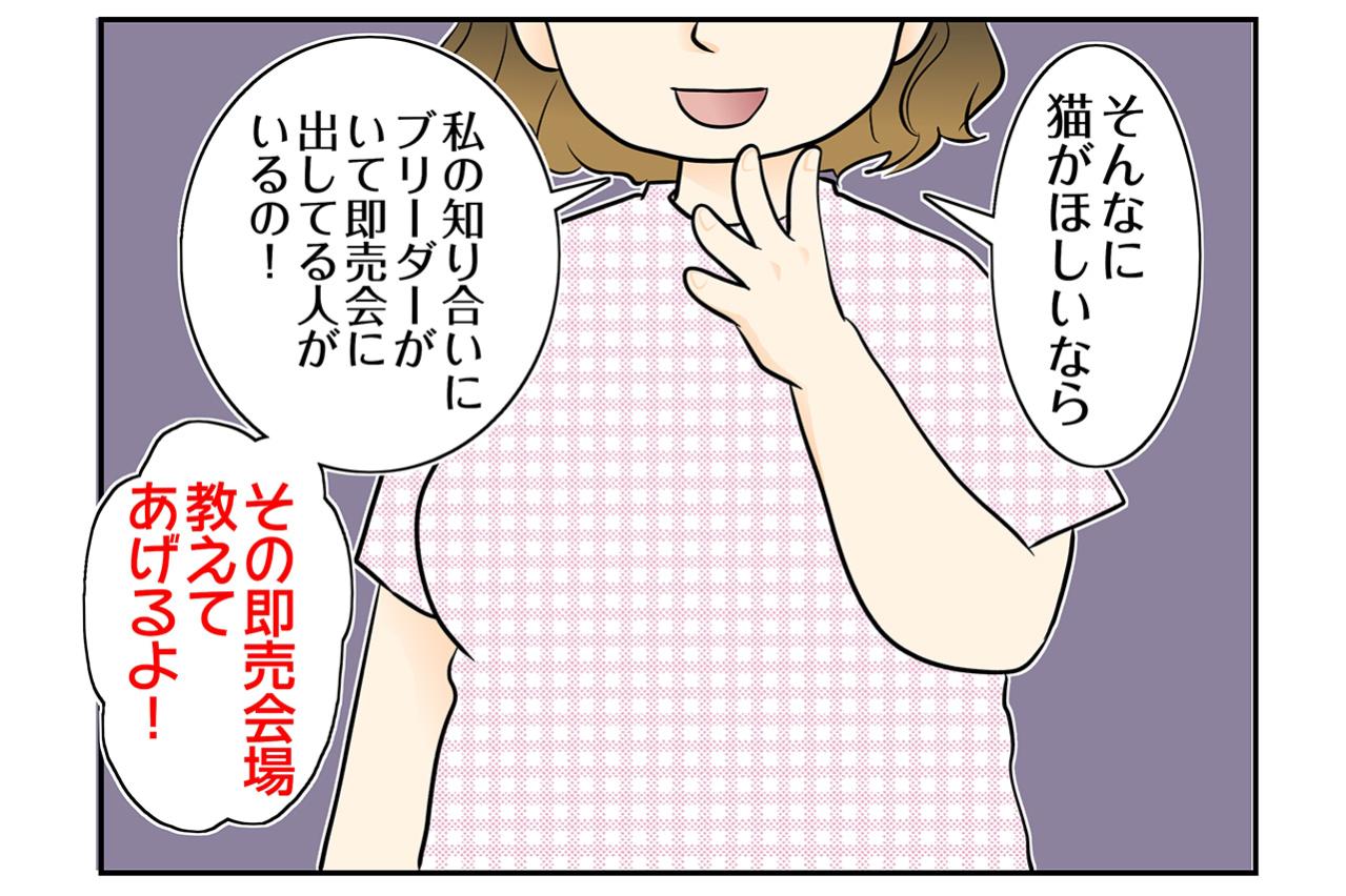 【マンガ・老猫日誌＃101】「厄介な猫」その言葉に固まった日〜思い出の老猫日誌・桃姐と小論