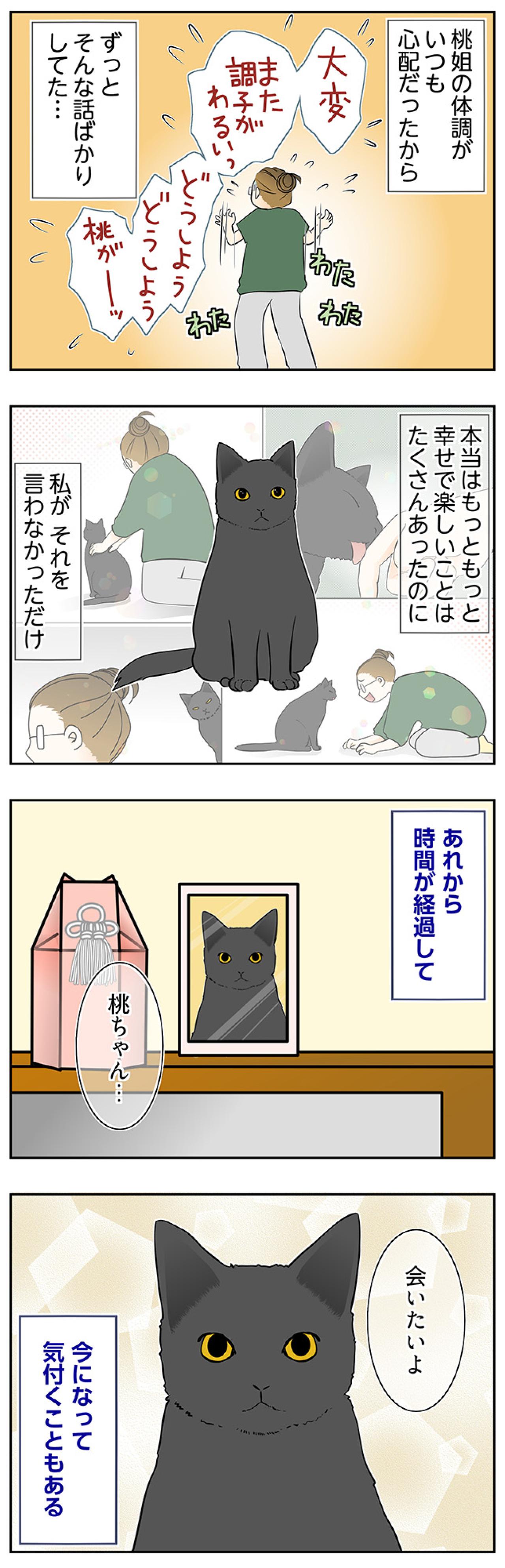 【マンガ・老猫日誌＃103】本当はもっと幸せな時間がたくさんあったのに〜思い出の老猫日誌・桃姐と小論（画像2）