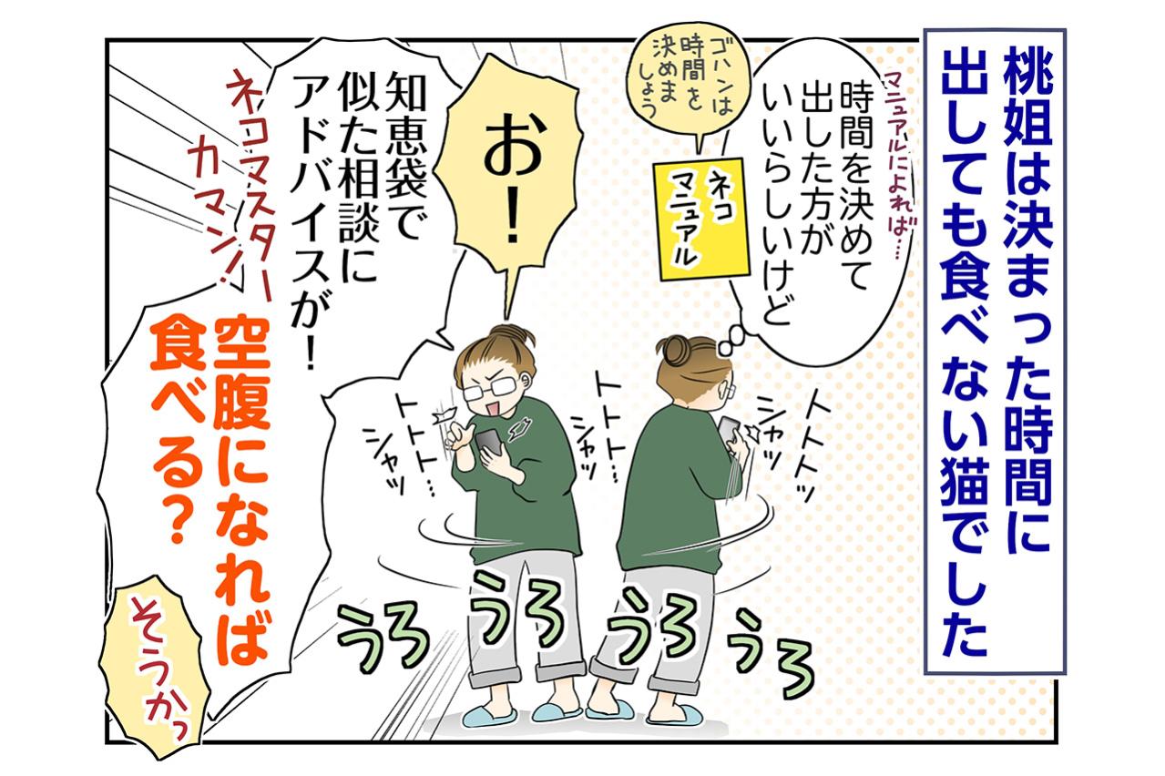 【マンガ・老猫日誌＃107】空腹になれば食べる？試行錯誤の食事作戦〜思い出の老猫日誌・桃姐と小論
