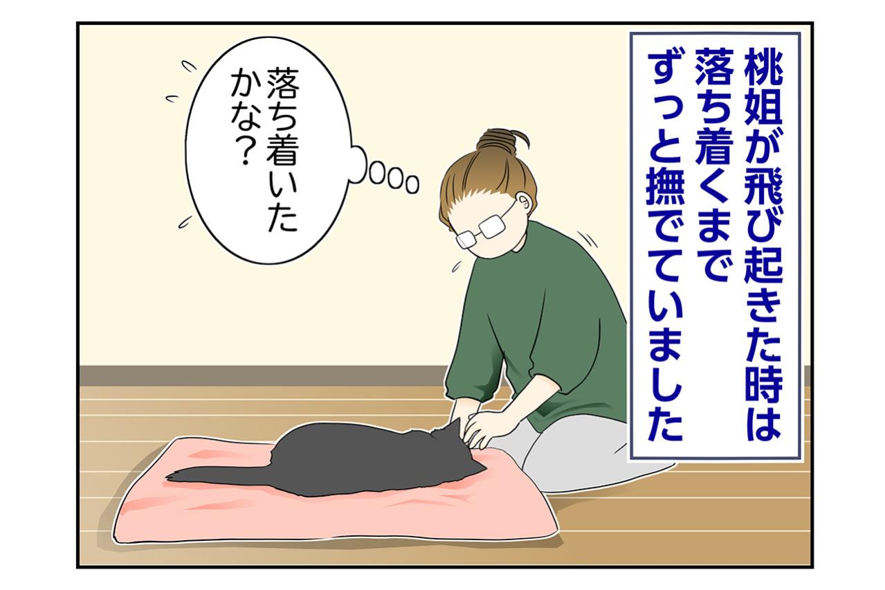 【マンガ・老猫日誌＃118】悪い夢でもみちゃってるのかな…桃姐を思って〜思い出の老猫日誌・桃姐と小論