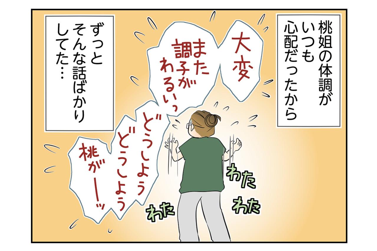 【マンガ・老猫日誌＃103】本当はもっと幸せな時間がたくさんあったのに〜思い出の老猫日誌・桃姐と小論