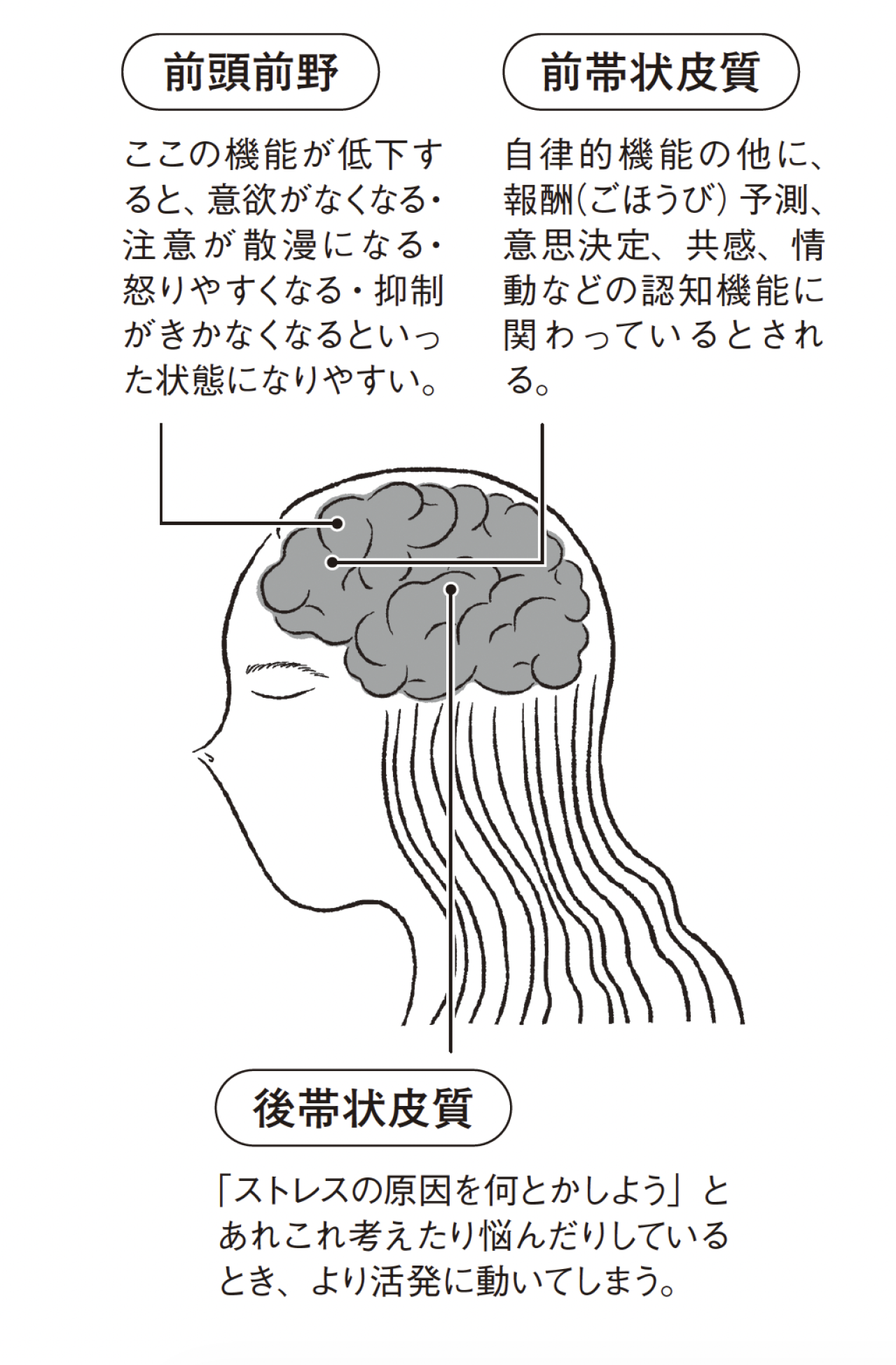 そのイライラや不安、脳の疲れが原因かも！専門家が教える「自分の機嫌を取る方法」（画像3）