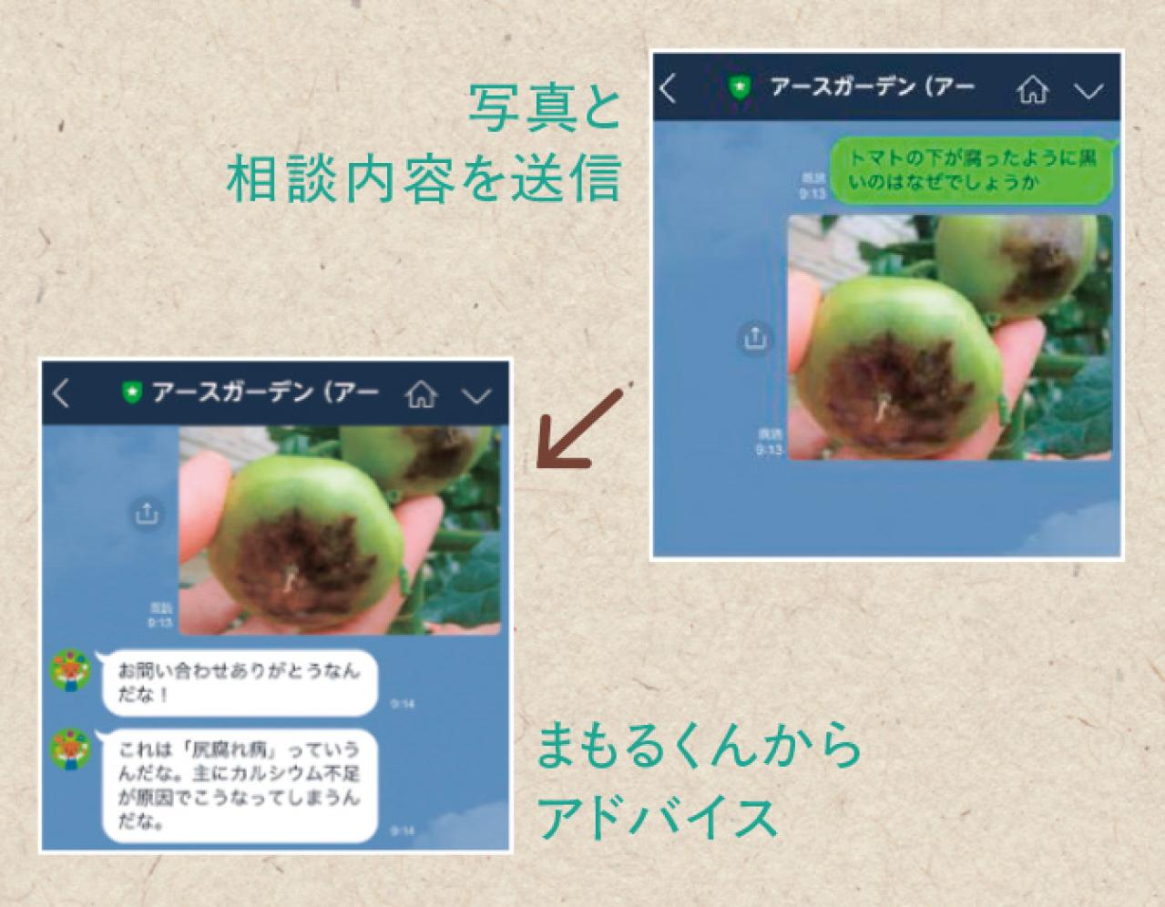 暑い夏の園芸は室内で賢く！写真で病害虫がわかるAI診断やLINE相談など便利な5サービス（画像8）