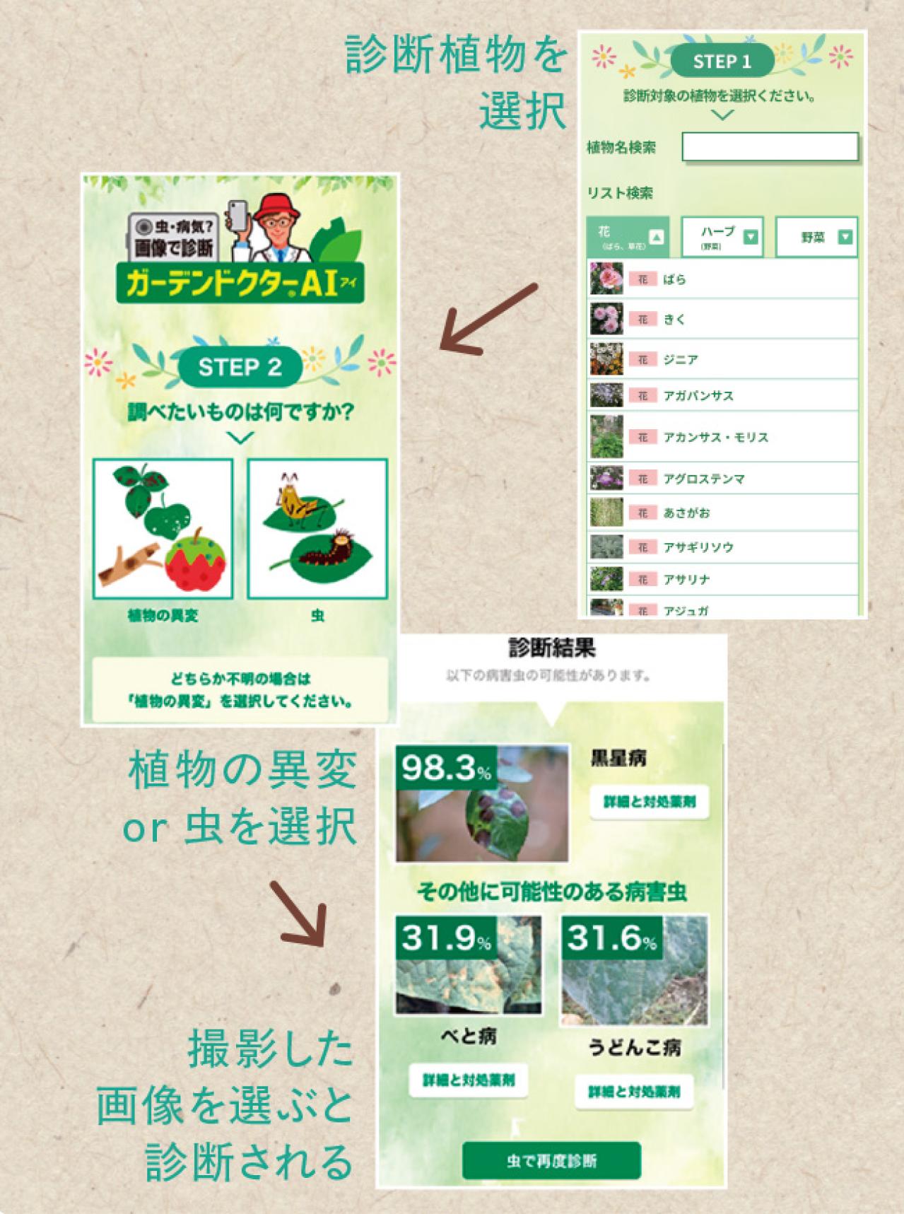 暑い夏の園芸は室内で賢く！写真で病害虫がわかるAI診断やLINE相談など便利な5サービス（画像16）