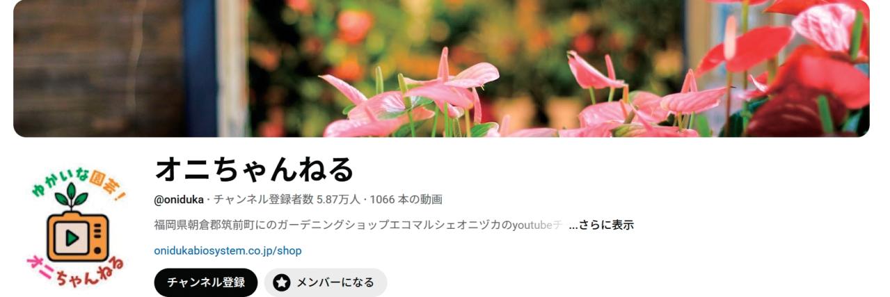 スマホで涼しく園芸上達！人気園芸店公式YouTubeチャンネルで学ぶ寄せ植えと旬の花苗情報（画像2）