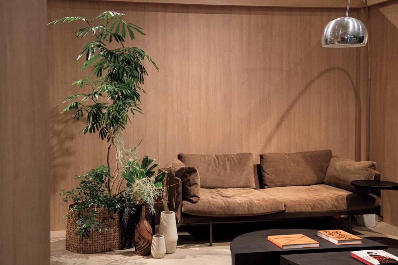 観葉植物、何から始める？ 部屋のトーンに合わせて選ぶ【インテリアグリーン】入門ガイド（画像8）