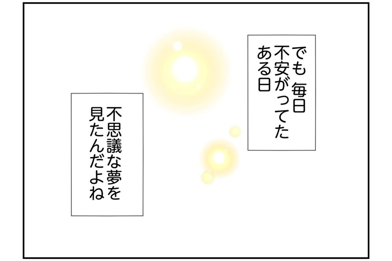 【マンガ・老猫日誌＃125】不安がっていたある日見た、不思議な夢〜思い出の老猫日誌・桃姐と小論