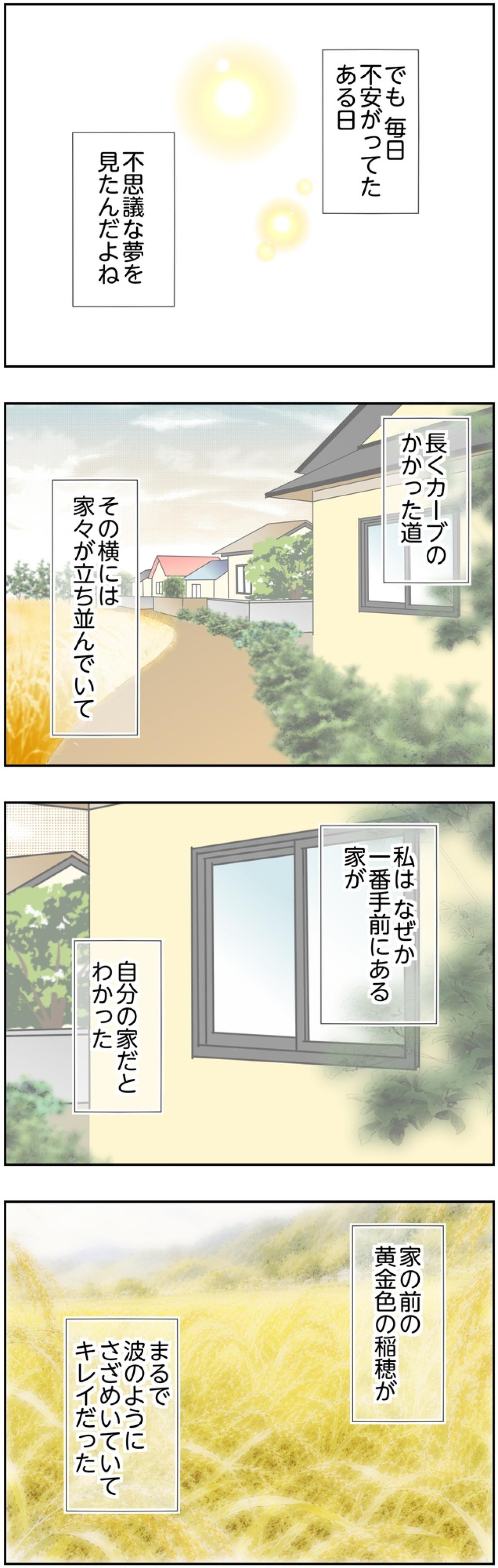 【マンガ・老猫日誌＃125】不安がっていたある日見た、不思議な夢〜思い出の老猫日誌・桃姐と小論（画像2）