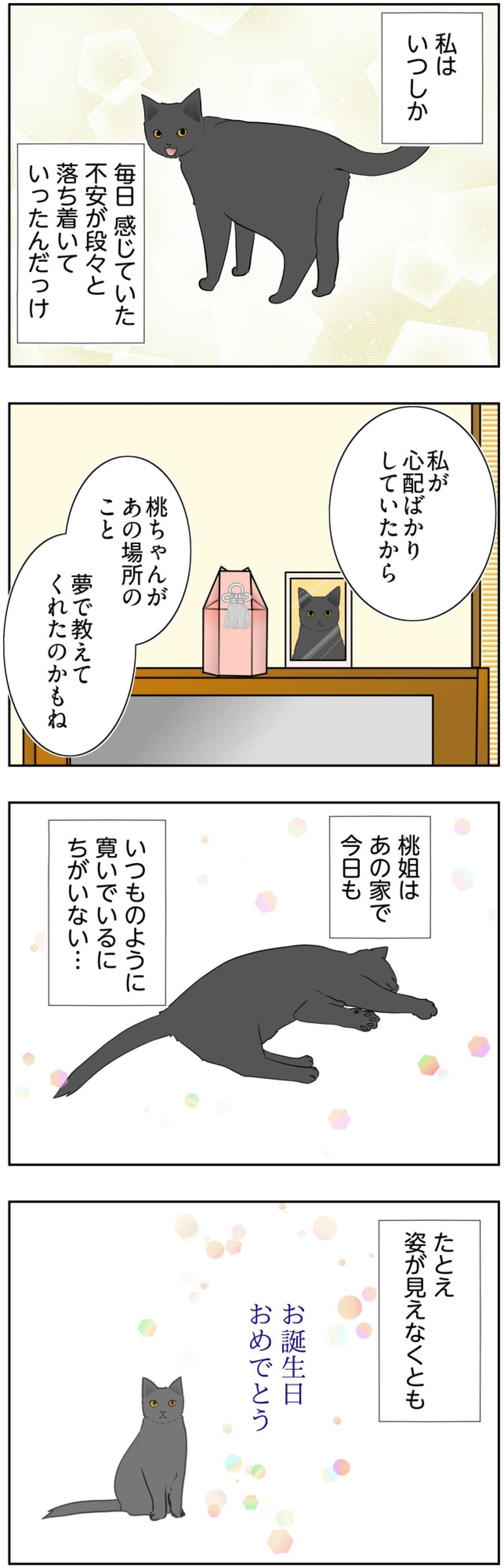 【マンガ・老猫日誌＃127】虹の橋の袂の家で、桃姐が安らかでありますように〜思い出の老猫日誌・桃姐と小論（画像2）