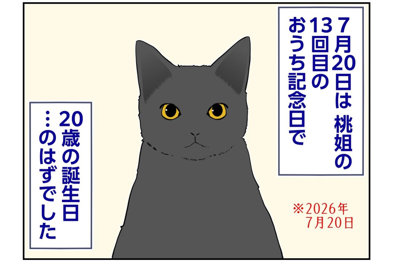 【マンガ・老猫日誌＃124】桃姐の20歳の誕生日のはずだったけれど…〜思い出の老猫日誌・桃姐と小論