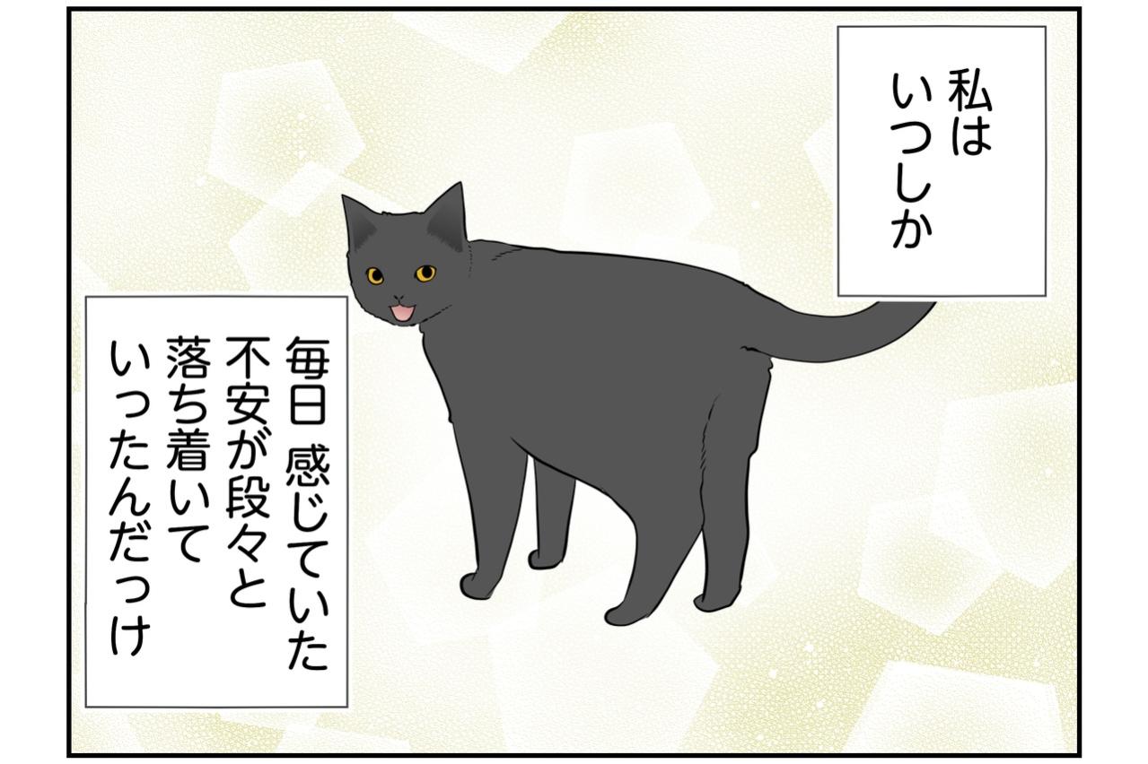 【マンガ・老猫日誌＃127】虹の橋の袂の家で、桃姐が安らかでありますように〜思い出の老猫日誌・桃姐と小論
