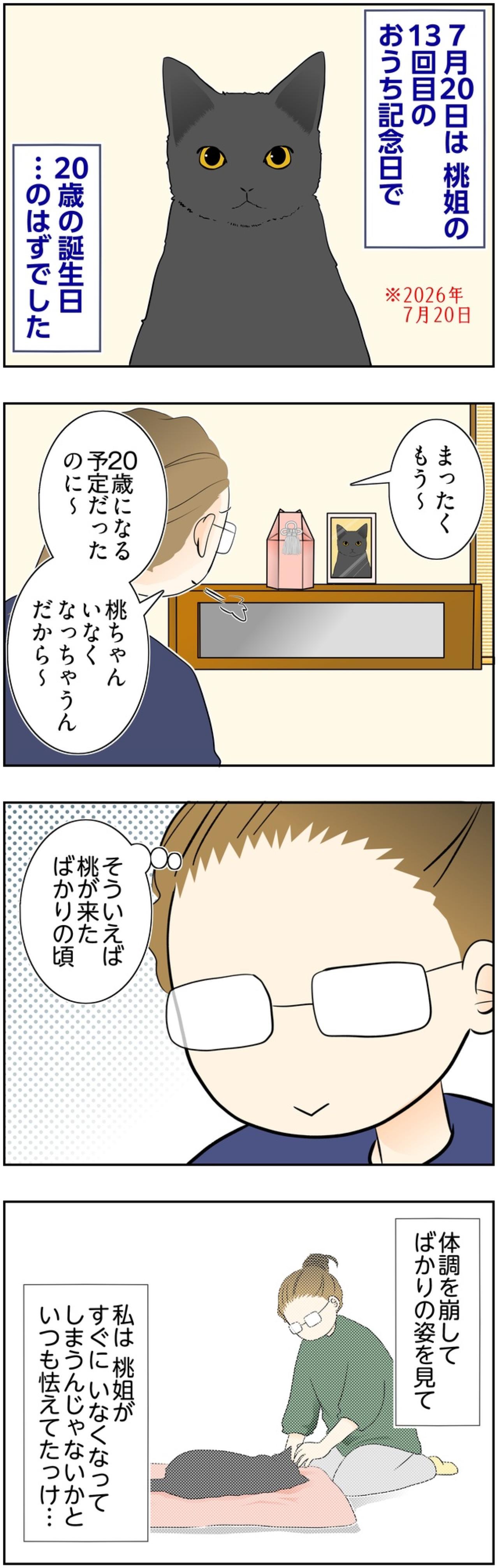 【マンガ・老猫日誌＃124】桃姐の20歳の誕生日のはずだったけれど…〜思い出の老猫日誌・桃姐と小論（画像2）