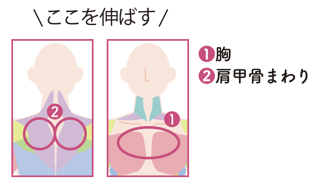 体の痛み知らずの74歳【小柳ルミ子さん】が毎日続ける「ゆったり肩広げ」とは？（画像2）