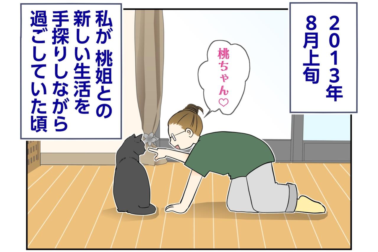 【マンガ・老猫日誌＃130】2013年の夏、まだ見ぬ小論の小さな産声〜思い出の老猫日誌・桃姐と小論