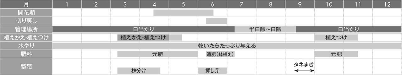 【ガーデニングQ＆A】フォプシス・スティロサの花が咲きません。寒冷地でないとうまく育てられない？（画像3）