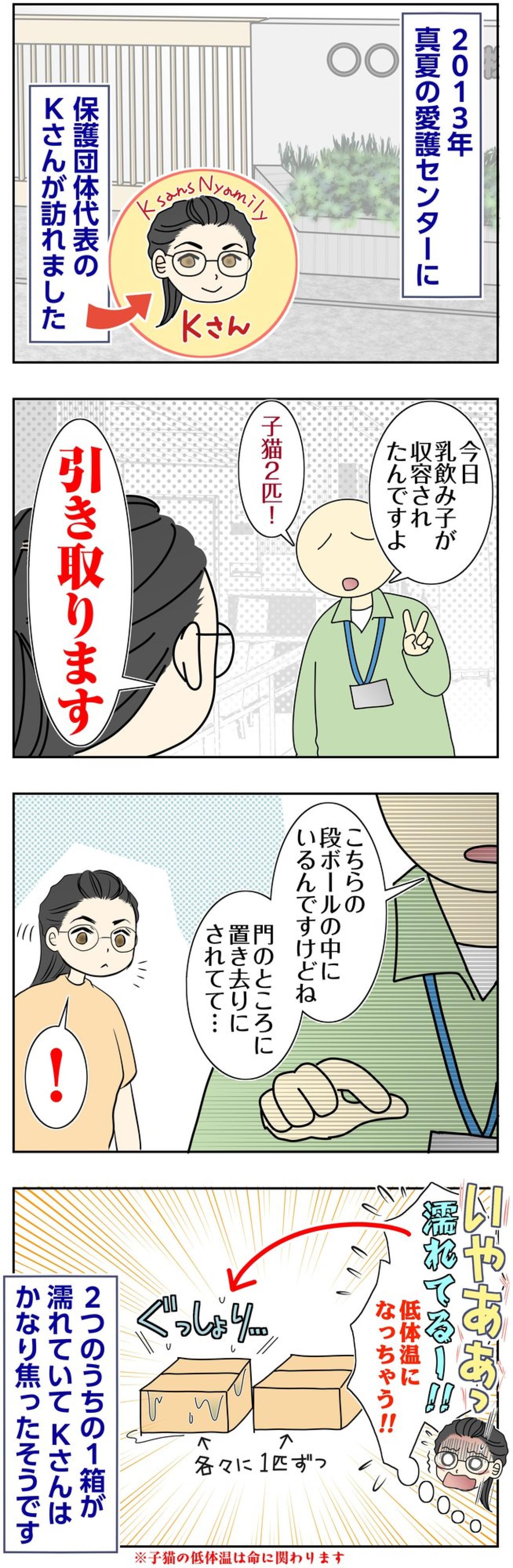 【マンガ・老猫日誌＃132】子猫の入った箱がぐっしょり！ Kさんの焦り〜思い出の老猫日誌・桃姐と小論（画像2）