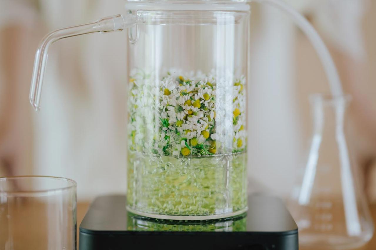 植物の香りが恋しくなるのは、休みたいサイン？「芳香蒸留水」で心地よく整える